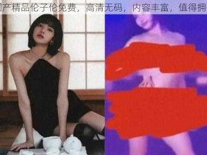 国产精品伦子伦免费，高清无码，内容丰富，值得拥有