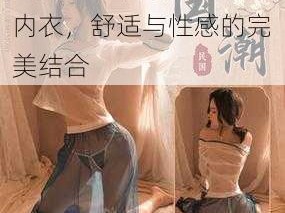 人妖丰满极致高潮情趣内衣，舒适与性感的完美结合