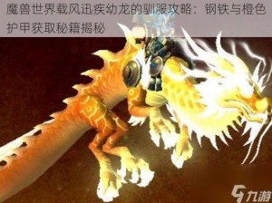 魔兽世界载风迅疾幼龙的驯服攻略：钢铁与橙色护甲获取秘籍揭秘