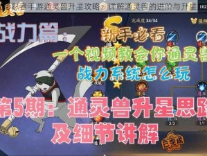 火影忍者手游通灵兽升星攻略：详解通灵兽的进阶与升星方法