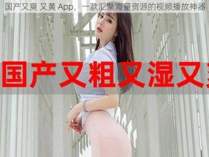 国产又爽 又黄 App，一款汇聚海量资源的视频播放神器