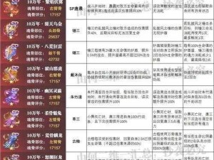 斗罗大陆魂师对决SP唐晨专属魂骨全面解析：强度评估与实战应用探讨