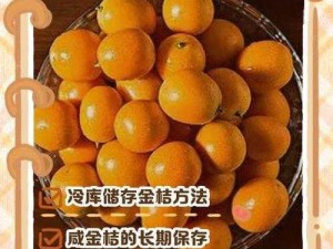 金桔直播6222t,如何在金桔直播 6222t 中观看直播？