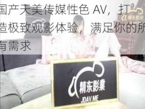 国产天美传媒性色 AV，打造极致观影体验，满足你的所有需求