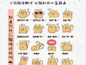 放克猫咪的趣味探索与简介：探索一种别样的猫咪互动体验