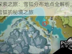 原神探索之旅：雪狐分布地点全解析，寻找原神雪狐的秘境之旅