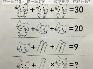 错一题C10下_错一题 C10 下：数学挑战，你能行吗？