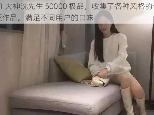 91 大神沈先生 50000 极品，收集了各种风格的优质作品，满足不同用户的口味