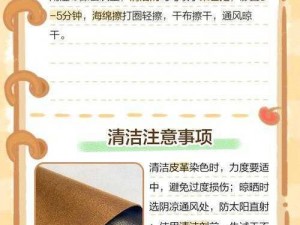 皮革染色去除攻略：实用方法与技巧助你轻松解决染色难题