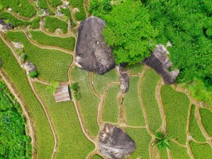 精品无人区一区二区三区的特点—探索精品无人区一区二区三区，领略不同特色