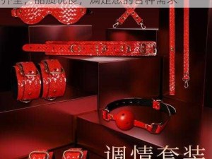 李宗瑞奇奥网提供多款成人情趣用品，种类齐全，品质优良，满足您的各种需求