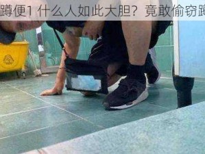 偷窃蹲便1 什么人如此大胆？竟敢偷窃蹲便 1