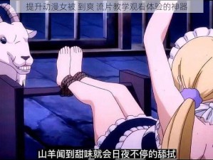 提升动漫女被 到爽 流片教学观看体验的神器