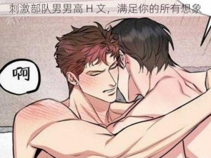 刺激部队男男高 H 文，满足你的所有想象