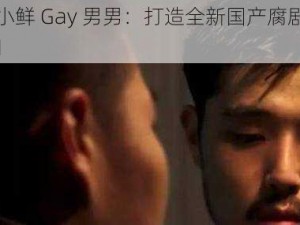 国产小鲜 Gay 男男：打造全新国产腐剧热潮😏