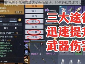 《黎明觉醒》武器获取方式全面解析：如何轻松获取强大武器