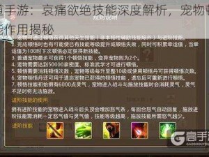 问道手游：哀痛欲绝技能深度解析，宠物顿悟技能作用揭秘