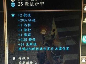 关于神界原罪2游戏：偷窃物品的技巧与偷东西方法全面解析