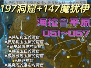 塞尔达传说王国之泪魔犹伊遗失物探秘攻略：全方位获取指南