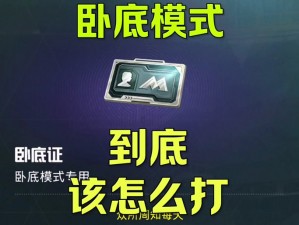 老玩家揭秘：和平精英谁是卧底攻略宝典，实战技巧助你成为游戏高手