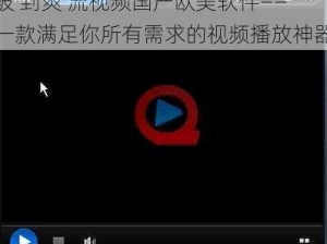 被 到爽 流视频国产欧美软件——一款满足你所有需求的视频播放神器