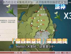 原神塞西莉亚花采集地点大全：详尽指南带你探寻花朵踪迹一览