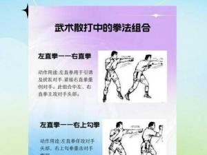 招架武学战斗技巧解析：实战中的策略运用与招式整理