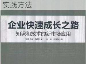 好公司迅猛成长之路：揭秘公司快速发展的秘诀与实践方法