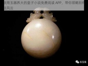 一款用玉器养大的皇子小说免费阅读 APP，带你领略别样的宫廷风云