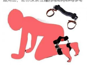 男男少年乖 h 调教跪趴 sm 视频：成人情趣用品，助你探索性趣