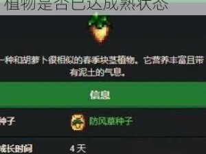 星露谷物语：如何精准判断植物是否已达成熟状态