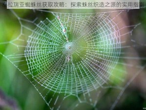 泰拉瑞亚蜘蛛丝获取攻略：探索蛛丝织造之源的实用指南