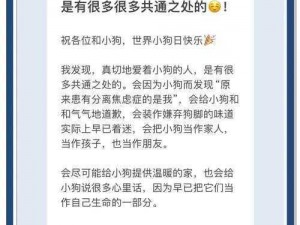 拍拍狗：萌宠背后的故事，探索人与犬的深厚情感纽带