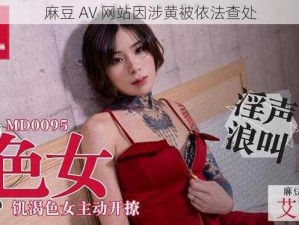 麻豆 AV 网站因涉黄被依法查处