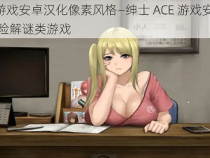 绅士ACE游戏安卓汉化像素风格—绅士 ACE 游戏安卓汉化像素风格冒险解谜类游戏