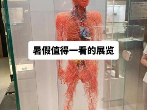 生物老师的亲身教学：趣味实验，带你探索生命奥秘