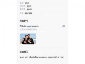 男同 gaYGAYS 小帅网站是一个提供同志社交、交友、娱乐等服务的平台