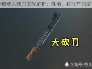 和平精英大砍刀实战解析：性能、数据与深度介绍