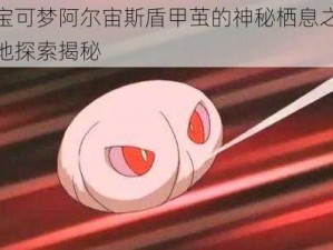 宝可梦阿尔宙斯盾甲茧的神秘栖息之地探索揭秘