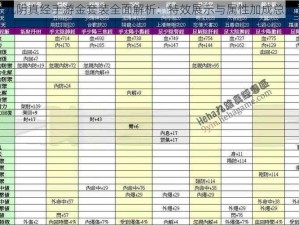 九阴真经手游金套装全面解析：特效展示与属性加成总览