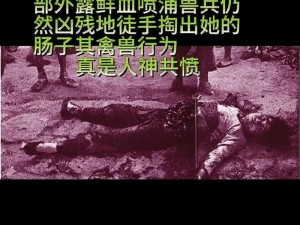 本产品涵盖了大量的历史珍贵影像，全面展现了日军性暴女囚的历史细节