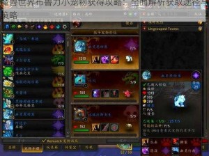 魔兽世界布鲁力小宠物获得攻略：全面解析获取途径与策略