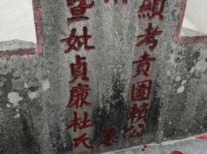 梦莹回乡扫墓并欢，特色农产品助力乡村振兴