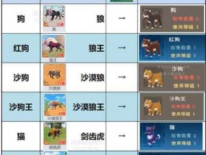 关于创造与魔法：宠物猫的捕捉方法及所在位置详解