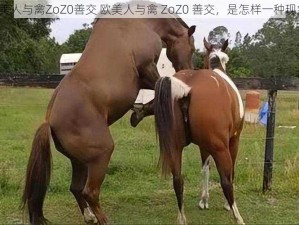 欧美人与禽ZoZ0善交 欧美人与禽 ZoZ0 善交，是怎样一种现象？