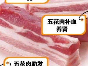 优质纯肉高，营养更丰富