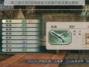 真三国无双5武将练级与武器升级攻略全解析