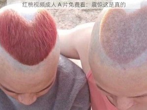 红桃视频成人 A 片免费看：震惊这是真的