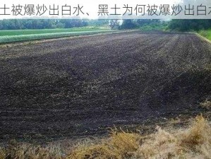 黑土被爆炒出白水、黑土为何被爆炒出白水？