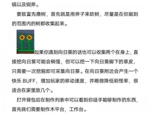 泰拉瑞亚无限生命值获取秘籍：无限制生命值开启攻略揭秘